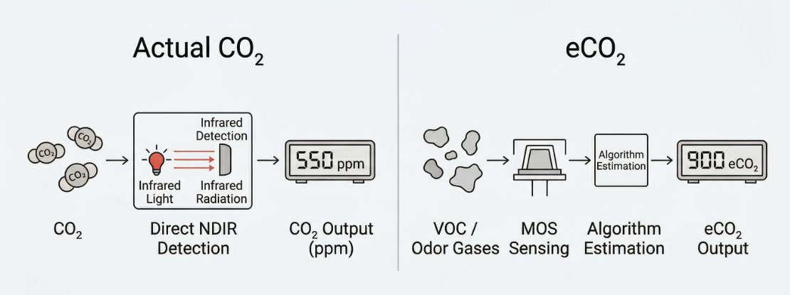 eCO? 與真實(shí) CO? 的區(qū)別示意圖